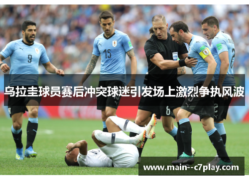 乌拉圭球员赛后冲突球迷引发场上激烈争执风波 乌拉圭球员赛后冲突球迷引发场上激烈争执风波