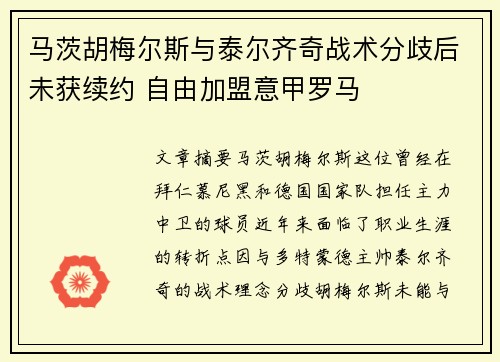 马茨胡梅尔斯与泰尔齐奇战术分歧后未获续约 自由加盟意甲罗马 马茨胡梅尔斯与泰尔齐奇战术分歧后未获续约 自由加盟意甲罗马